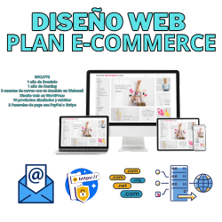 Incluye Dominio, Hosting, 3 email gratis, diseño web en Wordpress Gratis y Posicionamiento en Google